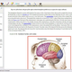 Illustration for article titled Macmillan's Future Of Textbooks Looks a Lot Like Wikipedia